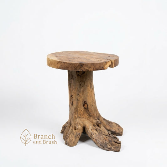 The Canopy Tree Root Side Table - (Ready to Purchase)